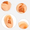 Human Ear Model Simulation Artificial Human Left Ear Silicone Ear