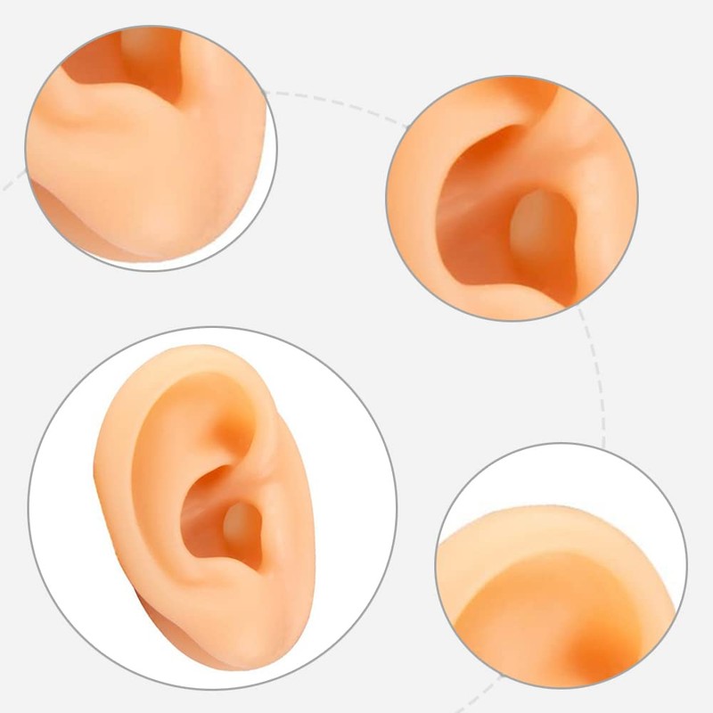Human Ear Model Simulation Artificial Human Left Ear Silicone Ear