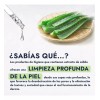HEBBE COSMETICS EXGN9 1VTL1 Extracto Glicólico De Aloe Vera Sábila