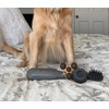 PAW WAVE PERK Percussion Pet Massager for Dogs and Cats