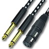 Mugteeve XLR Female to Dual 1/4 Splitter Cable, 10Feet Female