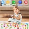 70Pcs Animal Erasers for Kids Desk Pets, 3D Take Apart