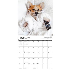 Willow Creek Press Corgi Rules Monthly 2025 Wall Calendar (12" x 12")