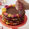 Wilton Decorator Preferred Cake Decorating Set, 48-Piece