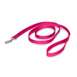 PetSafe Nylon Dog Leash - Strong, Durable, Traditional Style Leash with Easy to Use Bolt Snap - Available in Multiple Widths and Colors