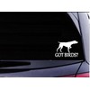 German Shorthair Pointer Got Birds TP 1332 Vinyl 6" Decal