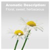 doTERRA - Roman Chamomile Essential Oil - 5 mL