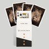 Lantern Press Lion Face (52 Playing Cards, Poker Size Card