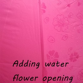 Maibar Umbrella UPF 50 Small Umbrella Portable Lightweight Compact Sun Umbrellas for Girls Women Ladies (Rose red)