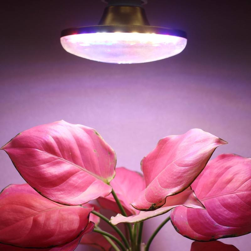 HONORSEN LED Grow Lights for Indoor Plants, Full Spectrum Plant