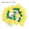 9.8ft 20LEDs Fruit String Lights Battery Operated String Lights for