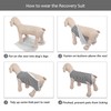 Kuoser Surgical Recovery Suit for Dogs Cats, Pet T-Shirt After