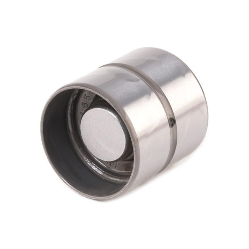 INA 420 0046 10 Valve Tappet