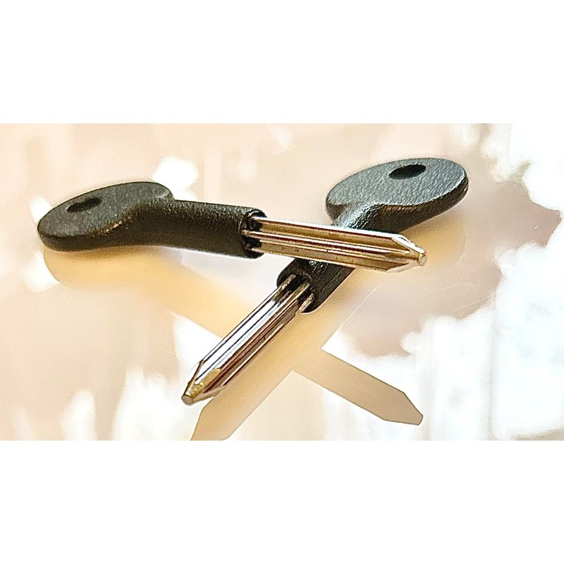TDHS UK 2 x Universal Star Keys 85mm Length Security