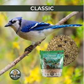 Bird Pro Classic No-Mess Wild Bird Seed – Premium Shell-Free Blend with Nuts, Sunflower Chips & Cranberries – Clean Feeding for Backyard Birds (10 Pounds)
