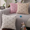 DFXSZ Easter Pillow Covers 18x18 inch Set of 2 Easter