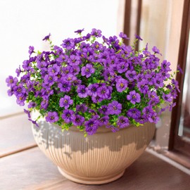 LikSoor 16 Bundles Artificial Flowers Outdoor Spring Summer Decoration Fake Silk Colorful Daisy Eucalyptus Realistic UV Resistant Outside Faux Plants for Garden Porch Window Box Home Decor (Purple)