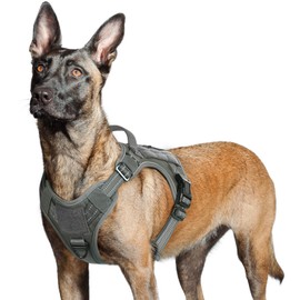 rabbitgoo Dog Harness No Pull, Military Dog Harness for Large Dogs with Handle & Molle, Easy Control Service Dog Vest Harness Training Walking, Adjustable Reflective Tactical Pet Harness, Dark Grey, L