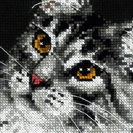 Riolis Maine Coon Cross Stitch Kit 1599 Cotton Multi-color, 21 x 30 x 0.1 cm