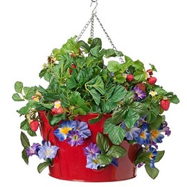 HIT Corp. 8495E XR Metal Strawberry, herb, Floral Hanging Planter, Red
