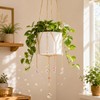 Sun Catcher Plant Hanger with Beads, Glass Crystal Ball Decor
