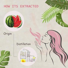 AOPING Watermelon Essential Oil - 100% Pure Organic Natural Plant (Citrullus lanatus) Watermelon Oil for Diffuser, Aroma, Massage, Perfume, 0.33oz