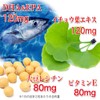 Dainichi Healthy Foods DHA EPA Ginkgo Biloba Leaf 80 Capsules