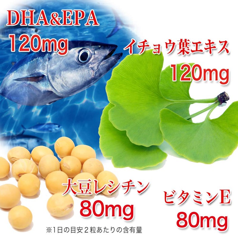 Dainichi Healthy Foods DHA EPA Ginkgo Biloba Leaf 80 Capsules