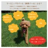 marn Paw Balm Stick Type Paw Cream, Safe to Lick,