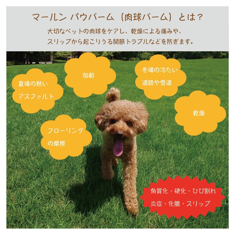 marn Paw Balm Stick Type Paw Cream, Safe to Lick,
