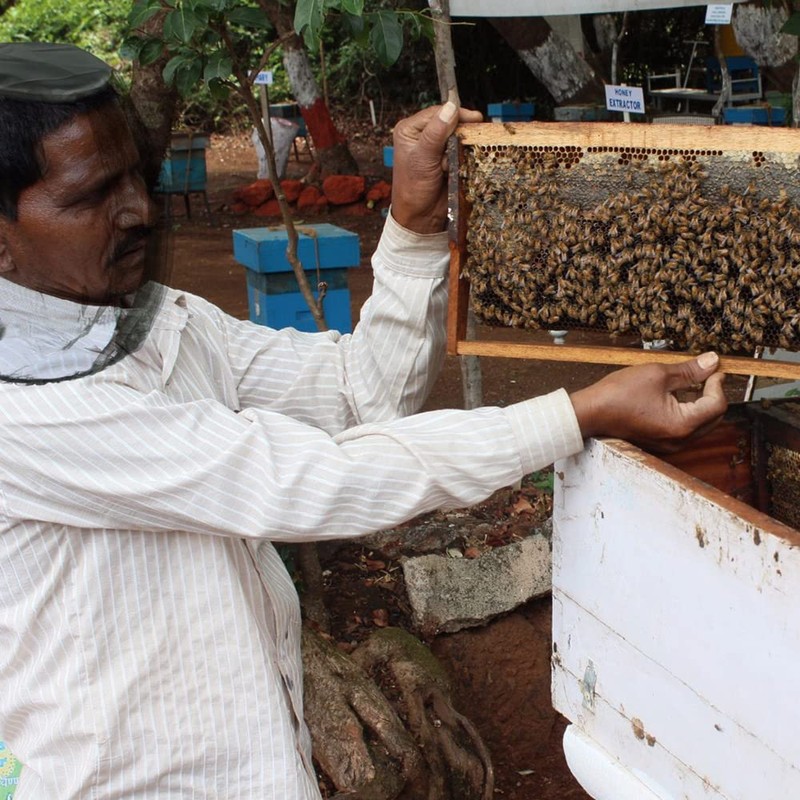 1pcs Mosquito Fly Head Net Mesh Hat Face Protect Bee