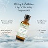 Abbey & Sullivan Fragrance Oil, Lily of The Valley, 1