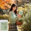 Rosemary Extract Powder Polyphenol Food Content Rosemary Acid Carnosic Acid