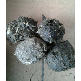 Unbranded Owl pellets medium-sized , Lot of 25