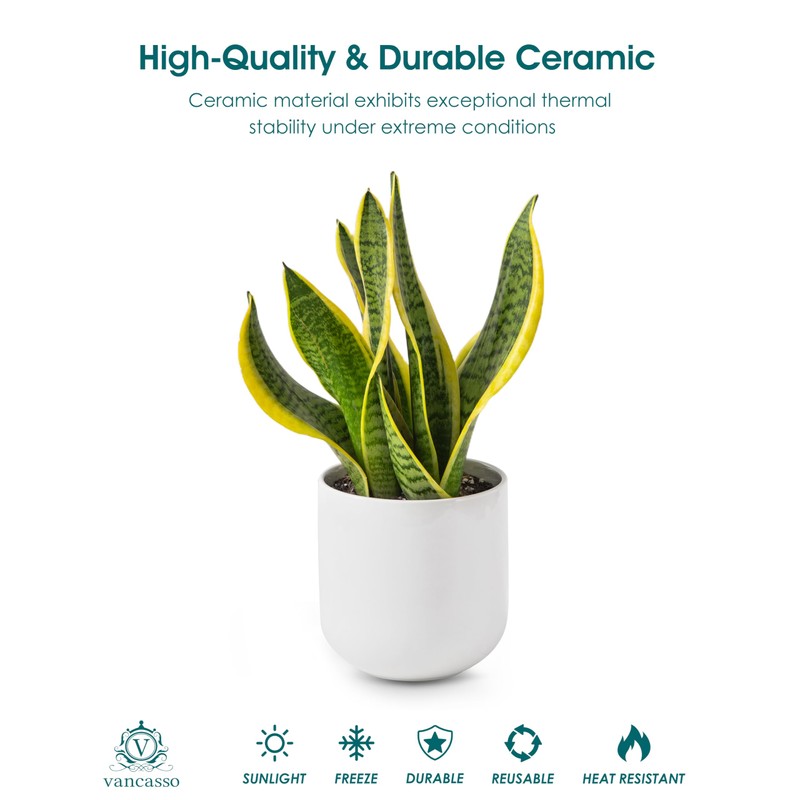 vancasso 6 Inch Ceramic Plant Pots, Planters with Drainage Hole,