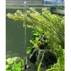 LANDEN Aquarium Thermometer for Rimless 10mm White Scale Background for