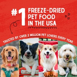 Stella & Chewy's Freeze Dried Raw Tantalizing Turkey Meal Mixer – Dog Food Topper for Small & Large Breeds – Grain Free, Protein Rich Recipe – 1 oz Bag