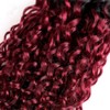 BilltiiWW 1B99j Ombre Burgundy Curly Bundles Black and Burgundy Curly