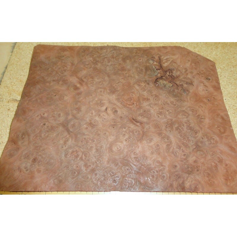 Carpathian Elm Burl Wood Veneer 8" x 10" raw with