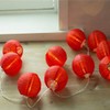 Amants01 Solar Red Lantern String Lights Solar Powered Hanging Lanterns