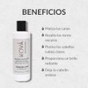 Shampoo Matizador Anticanas | Reduce Canas Gradualmente | Cabello Negro