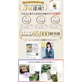 モリンガ 種 有機 モリンガの種 [約250粒] スーパーフード サプリ 無農薬 オーガニック 在来種 固定種 moringa seeds 苗 マルンガイ malunggay ワサビノキ 【非遺伝子組換 残留農薬検査済】【世界で一番栄養のある植物】 【まとめ割 3袋】