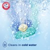 Arm & Hammer Clean Burst 5-in-1 Laundry Detergent Power Paks,