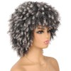 Ninroc Afro Curly Wig with Bangs Black Wigs Kinky Curly