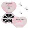 Ariya Lashes Premium 8IN1 Promade Mix 1000 Fans Eyelashes Extension,