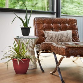 Bloem AP0613 Ariana Self Watering Planter 6" Burnt Red, 6"