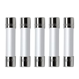 Beaquicy Microwave Fuse Ceramic Fuse Cartridge Fuse 20 Amp 250V Slow-Blow Compatible with WB27X10388 Microwave (5-Pack)
