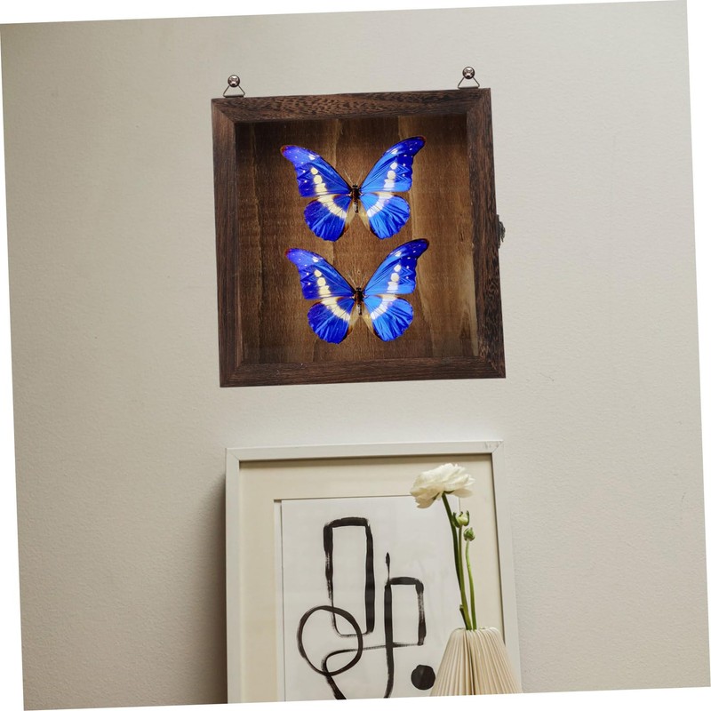 Alipis Wooden Frame Shadow Box Vintage Specimen Display Butterflies Specimen