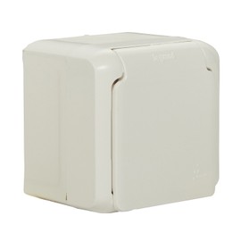 Legrand 782373 Forix Moisture-proof Surface-Mounted Switch Combination (Horizontal). IP44 Socket with with Lid and 2 Pin Switch, Mounts on the wall, Grey