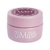 PREANFA PGU-M324 Color Gel Cassis Berry 324 0.1 oz (3